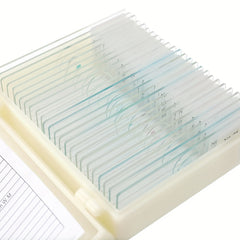 30pcs Biological Glass Sample Prepared Basic Science Specimen Set