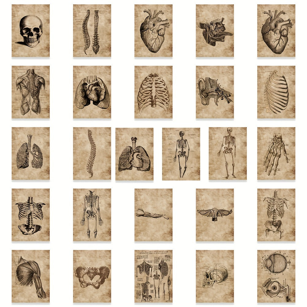 50pcs Human Skeleton Stickers Waterproof Vinyl Decals