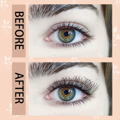 DIY Individual Lashes Kit 144 Pcs Clusters 10ml Bond Seal Brush Curler