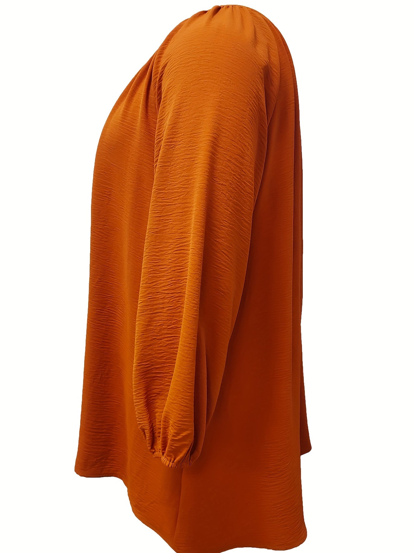 Solid Long Sleeve Round Neck Keyhole Tie Blouse