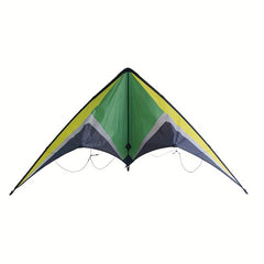 Dual Line Wing Kite for Outdoor Entertainment