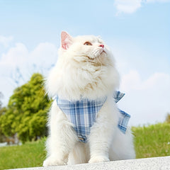 img_5505038