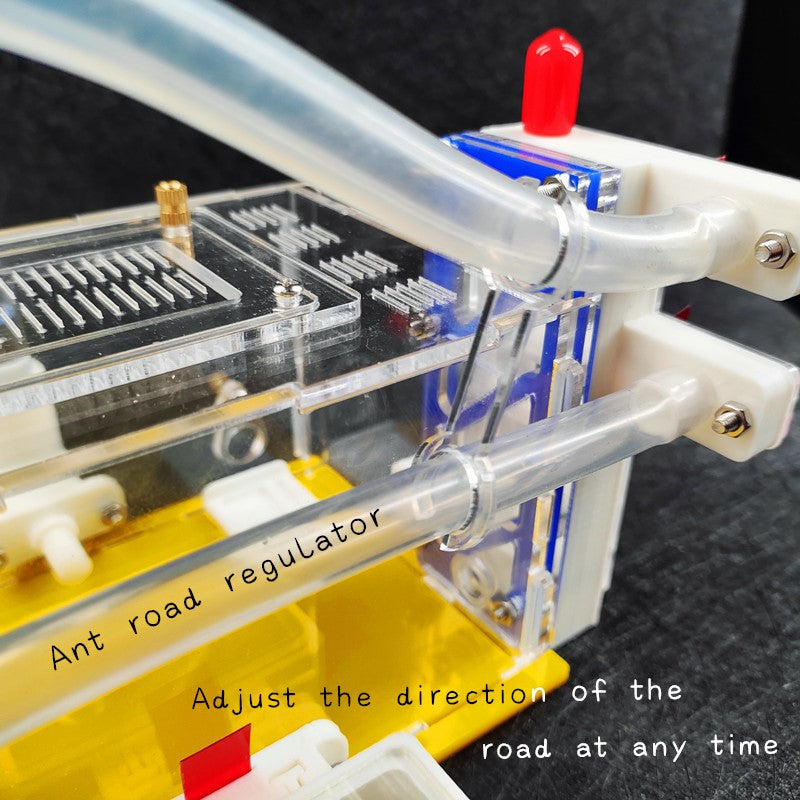 Acrylic Ant Farm with Feeding Area Insect Habitat Villa for Ant Mountain