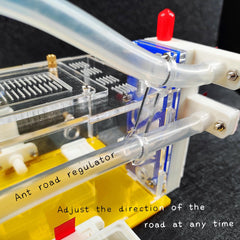 Acrylic Ant Farm with Feeding Area Insect Habitat Villa for Ant Mountain