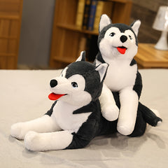 Giant 70cm Husky Plush Toy Soft Cuddly Stuffed Animal Dog Pillow
