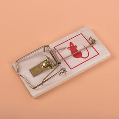 Wooden Mouse Trap Reusable Rat Trap Home Garden