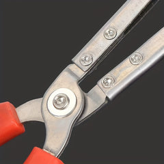 Stainless Steel Eel Clamp for Secure Cooking