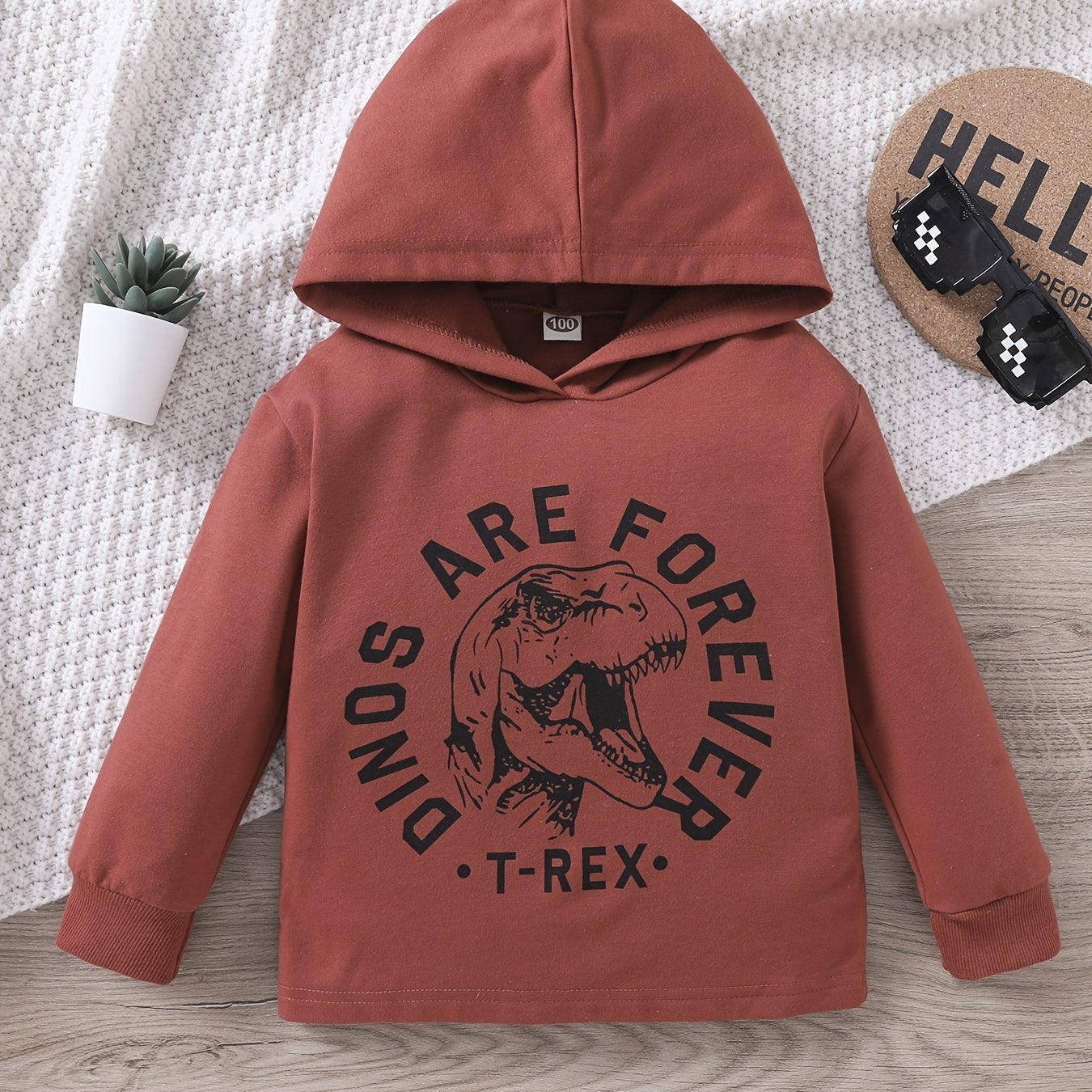 Boys Dinosaur Hoodie Sweatshirt Top Kids Clothes