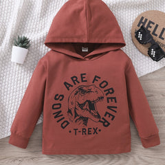 Boys Dinosaur Hoodie Sweatshirt Top Kids Clothes