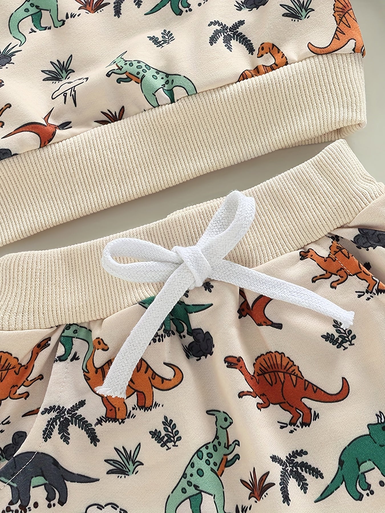 Baby Boys Dino Outfit Long Sleeve Top Pants 2pcs Set