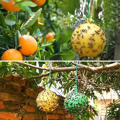 4pcs Sticky Fly Balls for Garden Insect Control