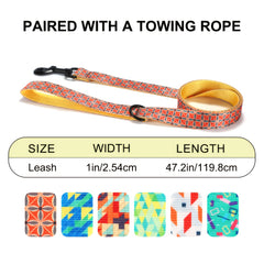 img_4104056