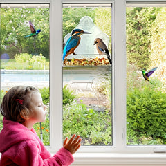 Acrylic Bird Feeder Cage for Garden