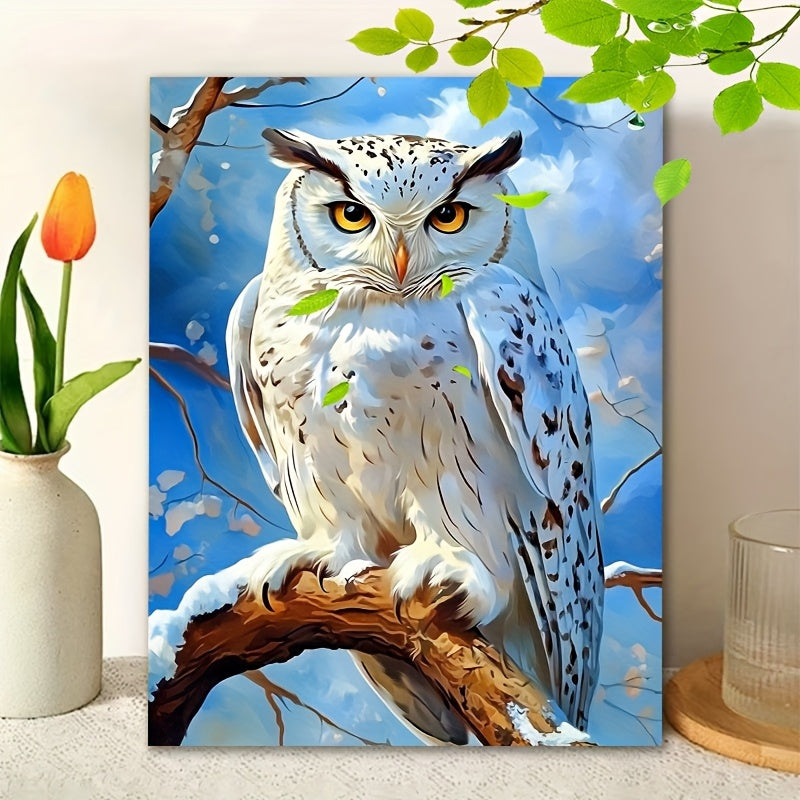 Adult DIY Paint by Numbers Kit Owl Christmas Birthday Gift Home Decor