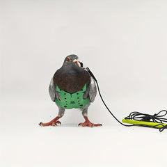 Pigeon Flying Rope Bird Clothes Pigeons Vests Pigeon Supplies Pigeon Training