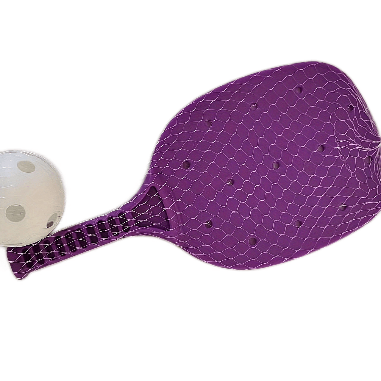 Outdoor Pickleball Set with Paddle Replacement