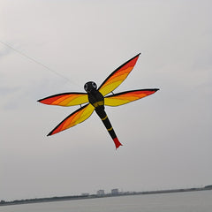 3D Dragonfly Kite D handle Flying Line Ripstop Polyester Strong Fiberglass