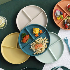 Plastic Dinner Plate for Weight Loss and Picnic