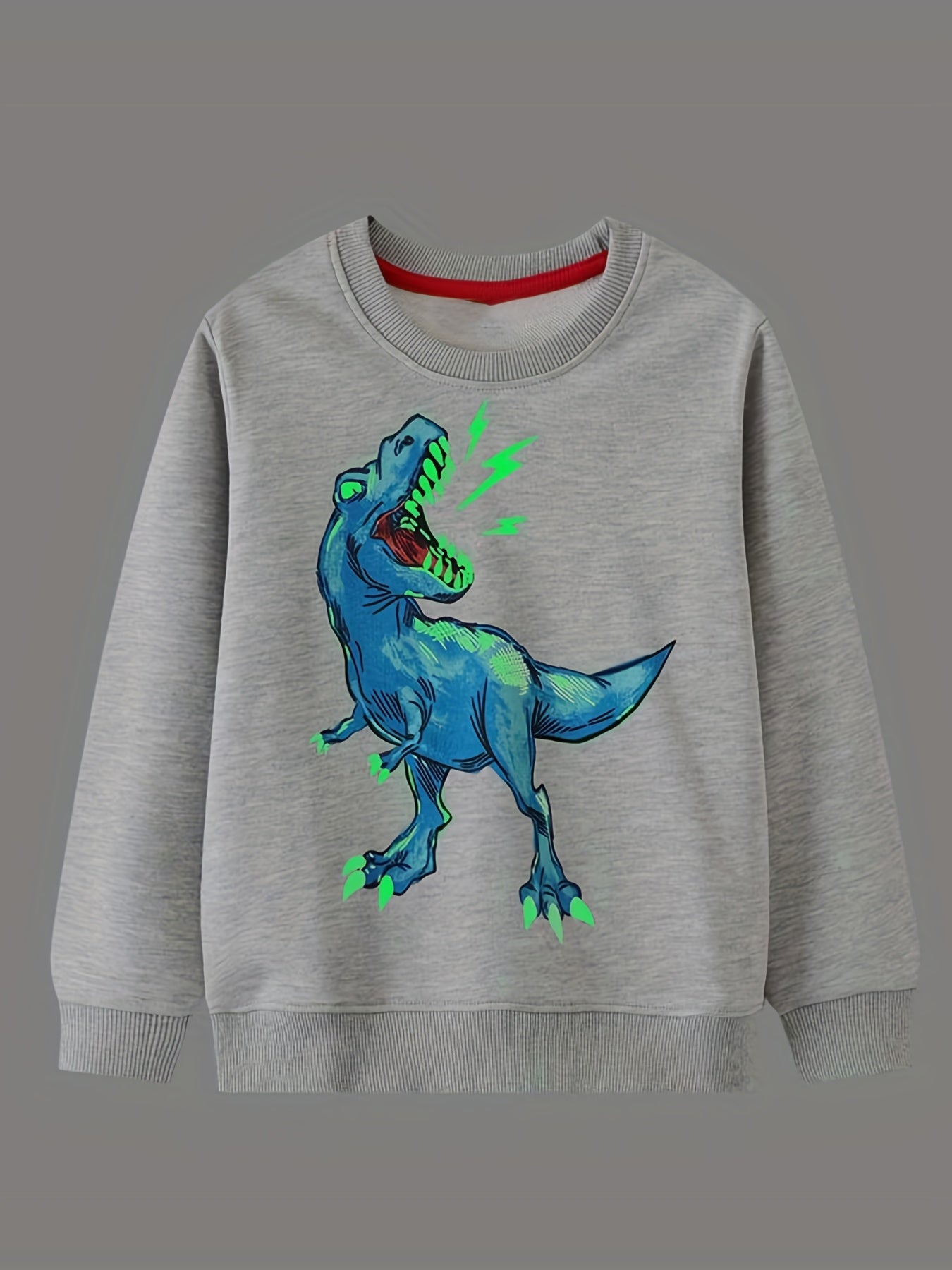 Kid's Dino Pattern Sweatshirt Crew Neck Long Sleeve Top