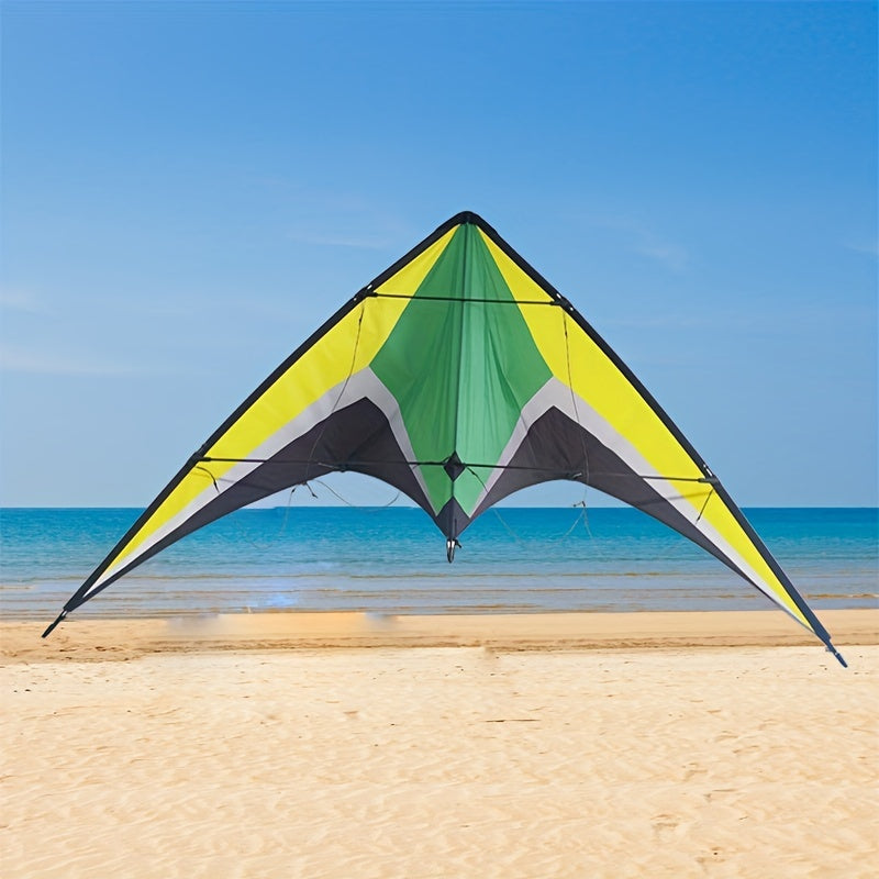 Dual Line Wing Kite for Outdoor Entertainment