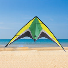 Dual Line Wing Kite for Outdoor Entertainment
