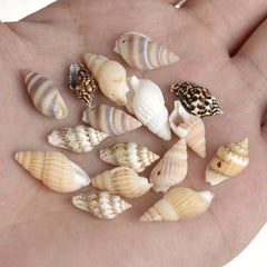 30pcs Sea Conch Shell Beads Cowrie Charm DIY Necklace Bracelet Accessories