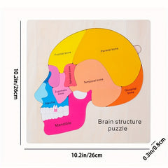 Wooden Brain Anatomy Learning Puzzle for Ages 3 Educational Cognitive Toy