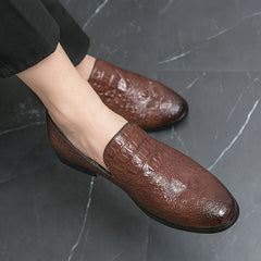 Men's Pointed Toe Slip On Casual Loafer Shoes