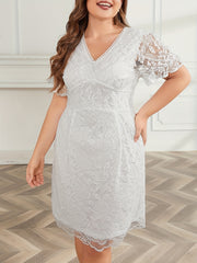 Lace Sleeve V Neck Waist Dress