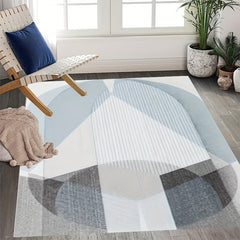 Soft Fluffy Plush Area Rug Modern Shaggy Indoor Rug Anti Skid Fuzzy Carpet