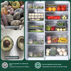 Plastic Refrigerator Storage Box with Lid Fresh Keeping