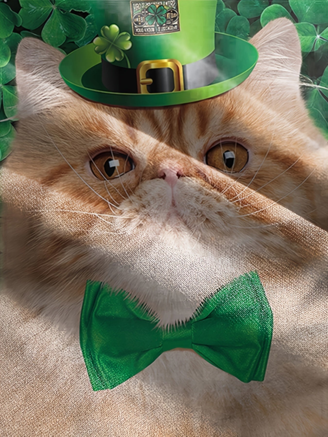 St Patrick's Cat Boy's Short Sleeve T shirt Breathable Loose Fitting