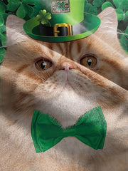 St Patrick's Cat Boy's Short Sleeve T shirt Breathable Loose Fitting