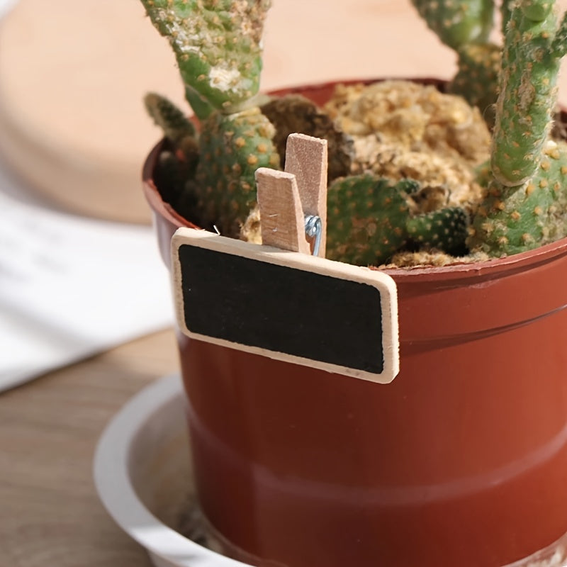 Wooden Clips Mini Blackboard Sticky Notes for Photos & Notes
