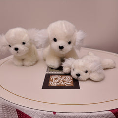 Bichon Puppy Plush Toy Soft Dog Stuffed Animal with Brown Accents