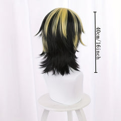 Anime Cosplay Wig Heat Resistant Synthetic Short Wigs