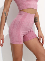 Women's Seamless Yoga Shorts Butt Lifting Quick-Dry Fitness Pants