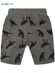Boys Dinosaur Print Elastic Waist Casual Loose Pockets Shorts