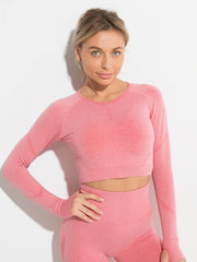 Cropped Breathable Fitness Yoga T-shirt Women's Activewear