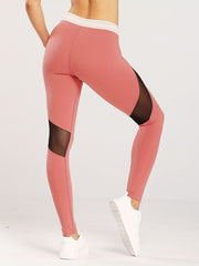 High Waist Butt Lifting Mesh Yoga Leggings