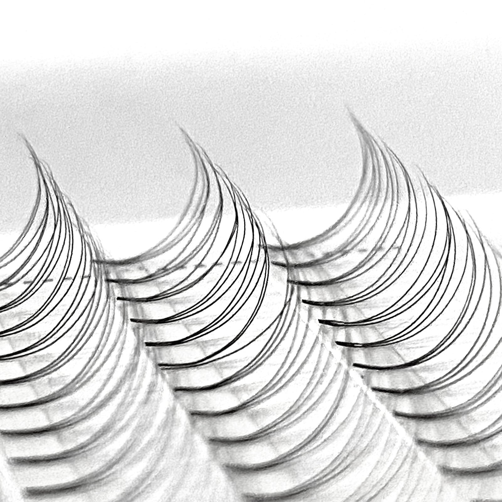 3D Short Root Premade Volume Lash Fake Eyelashes 8-15mm