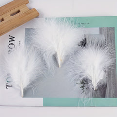 20pcs Natural Red Turkey Feathers 8-15.4inch DIY Crafts Decoration