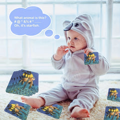 6pcs Duck Theme Non Slip Stickers with Scraper