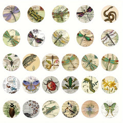 50pcs Retro Insect Specimen Series Graffiti Stickers Waterproof DIY Sticker Pack