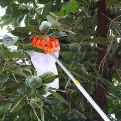 Fruit Picker Garden Basket Picking Tool Catcher Agricultural Prune Red Date