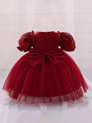 Mesh Puffy Gown Dress for Christening Wedding Flower Girl Princess