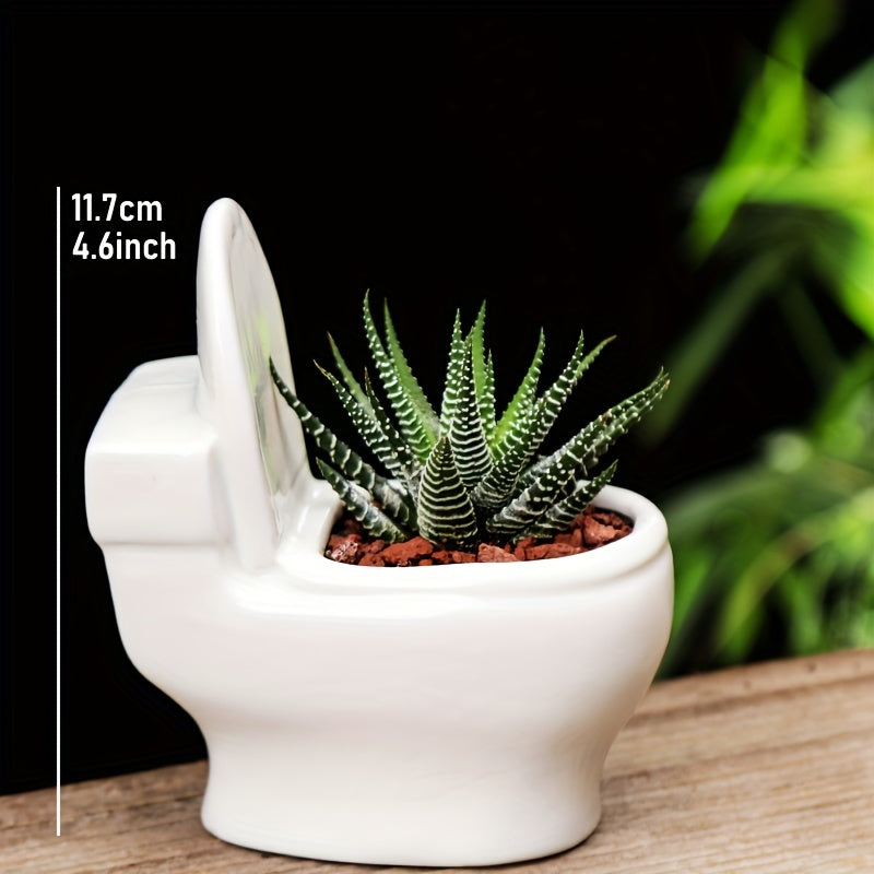 Decorative Ceramic Flower Pot for Succulents and Bonsai Trees
