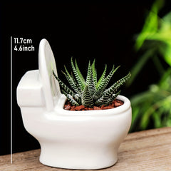 Decorative Ceramic Flower Pot for Succulents and Bonsai Trees