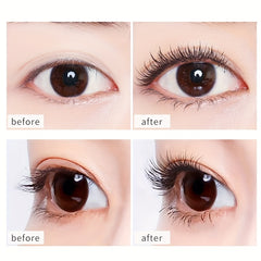 Eyelash Styling Primer Curling Long Mascara Waterproof Sweat Proof