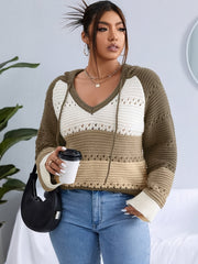 Colorblock Eyelet Embroidered Hooded Sweater